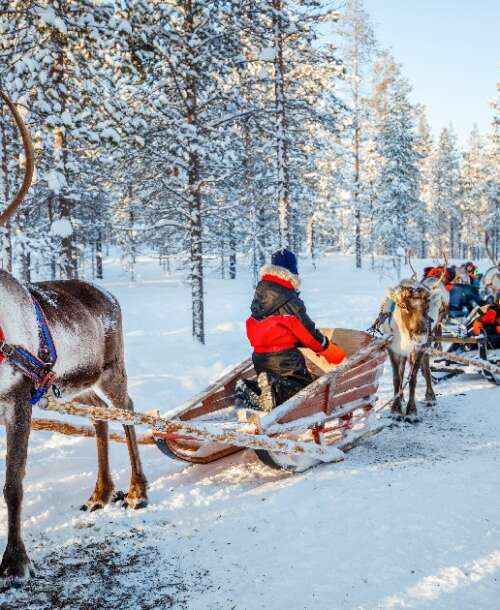  Day trip to Lapland with Canterbury Travel