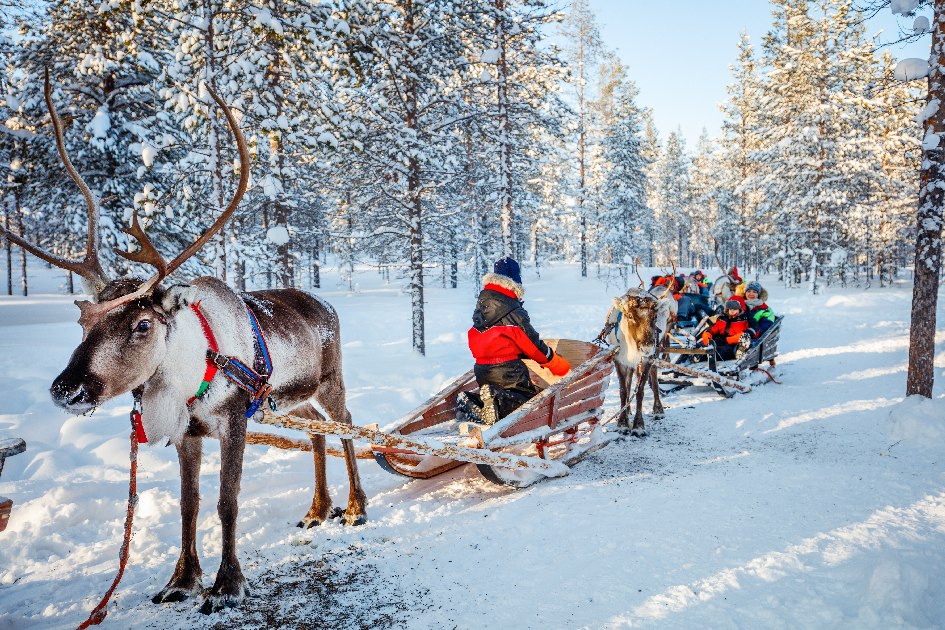  Day trip to Lapland with Canterbury Travel